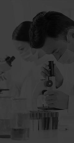 科研尝试利用背景图